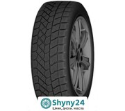 Зимові шини Compasal