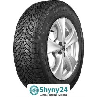 Waterfall Snow Hill 3 205/55 R16 94H XL