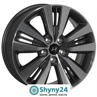 ZF TL0254N GMF R17 W7 PCD5x114.3 ET51 DIA67.1